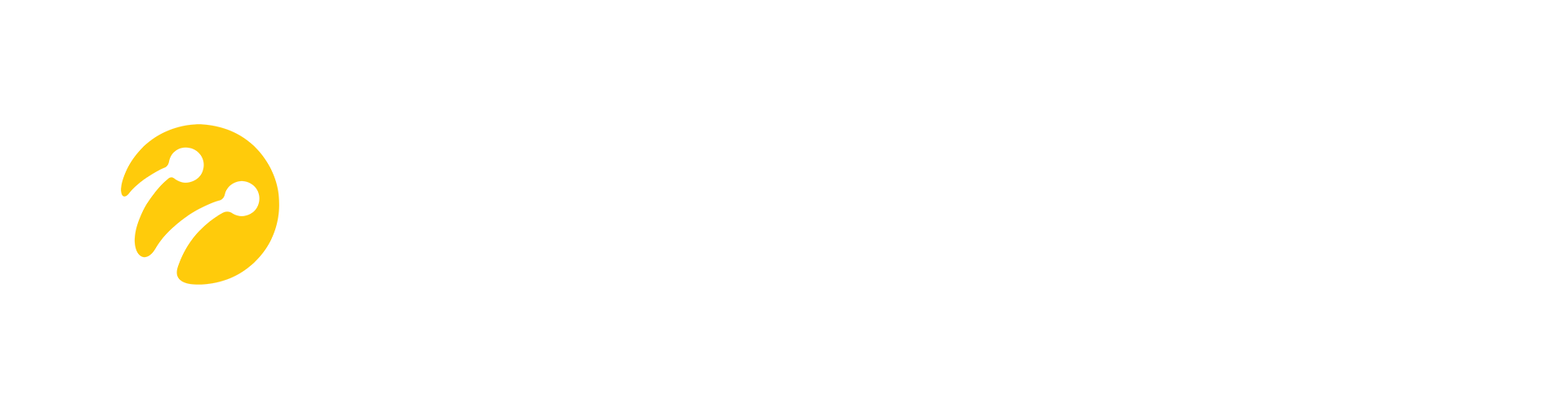 turkcell metro ethernet logo